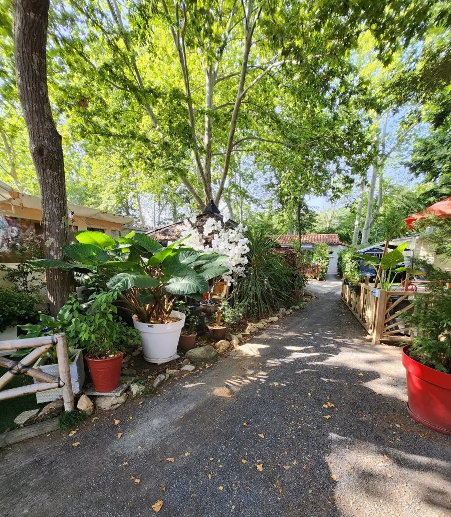 Nogarède